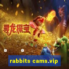 rabbits cams.vip